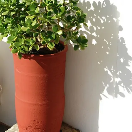 Lägenhetshotell Karabo Livadi (Astypalaia)