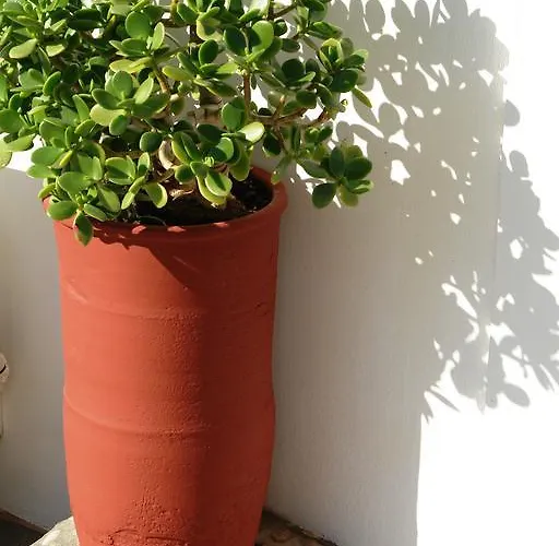 شقة فندقية Karabo ليفاذيا أستيبالياس